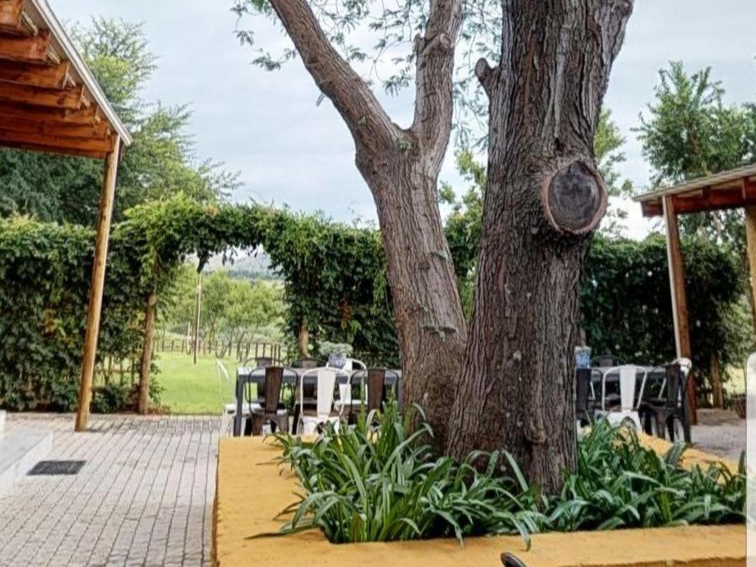 Cradle Valley Boutique Guesthouse Мулдесдрифт Экстерьер фото