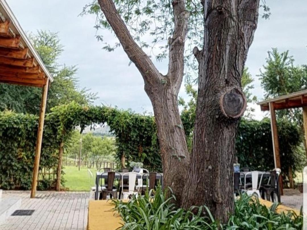 Cradle Valley Boutique Guesthouse Мулдесдрифт Экстерьер фото